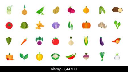 Symbol für Ernte eingestellt. Fenchel Zwiebel Erbsen Kartoffel Rote Beete Tomate Kohl Ingwer Gurke Kürbis Knoblauch Artischocke Salat Karotte Kohlrabi Mais Aubergine Pepp Stock Vektor