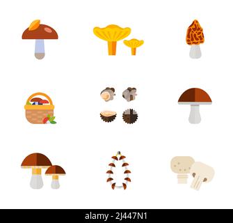 Symbole für Pilze. Pilz mit Blatt auf Kappe Chanterelle Morel Korb Trüffel Birch bolete Porcini getrocknete Pilze Champignons Stock Vektor