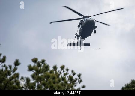 Ein Hubschrauber der US-Armee UH-60 Black Hawk mit dem Sturmhubschrauber-Bataillon der Nationalgarde von New Jersey 1-150. fliegt in eine Landezone, um während des 1-254. Infanterie Advanced Leaders Course 22-02 des Regional Training Institute auf der Joint Base McGuire-Dix-Lakehurst, New Jersey, 9. April 2022 Soldaten abzusetzen. Der Kurs „Infantry Advanced Leaders“ ist ein branchenspezifischer Kurs, der Soldaten bietet, die für die Beförderung zum Staff Sgt ausgewählt wurden. Er bietet die Möglichkeit, die Führung, die technischen Fähigkeiten, das taktische Know-how und die Erfahrung zu verbessern, die für die Führung von Einheiten in Kadergröße erforderlich sind. (USA Foto der Air National Guard vom Meister Stockfoto