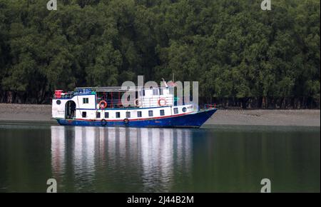 Sundarbans ist ein Mangrovengebiet im Delta, das durch den Zusammenfluss der Flüsse Padma, Brahmaputra und Meghna in der Bucht von Bengalen gebildet wird. Stockfoto