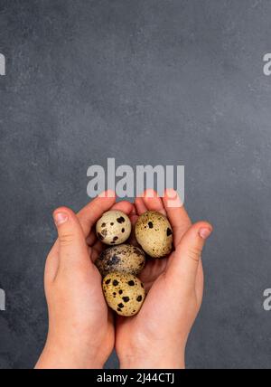 Kinderhand sammelt Wachteleier. Hochwertige Fotos Stockfoto