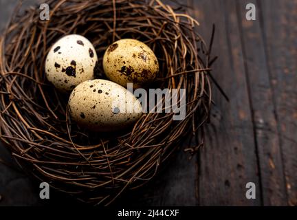 Wachteleier in einem Nest auf einem hölzernen Hintergrund. Wachtelzucht, Geflügelzucht. Hochwertige Fotos Stockfoto