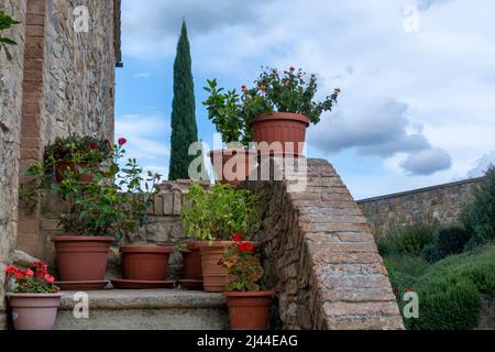 Typisches toskanisches Steinhaus mit Blumentöpfen in der Nähe von Montalcino, Toskana, Italien. Stockfoto