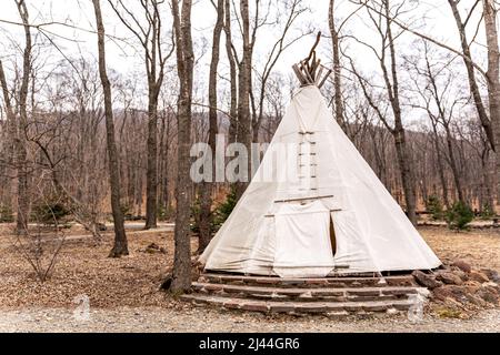 Glamping-Platz im Wald an einem ruhigen Nachmittag. Hochwertige Fotos Stockfoto