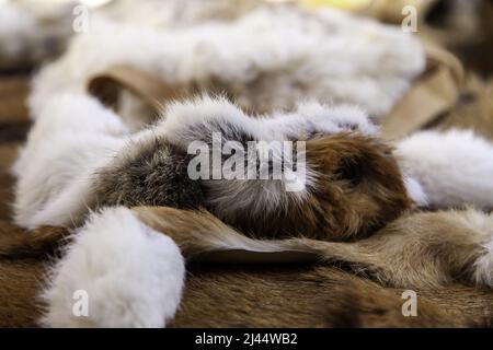 Detail der getrockneten Tierhaut zum Verkauf, Tierkleidung Stockfoto