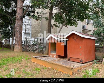 Zwei rote Holzhundehäuser auf einem Hinterhof der Wohnung, leere Zwinger auf einem Garten Stockfoto