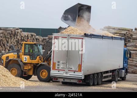 Schwerer Maschinenlader in einem Sägewerk Stockfoto