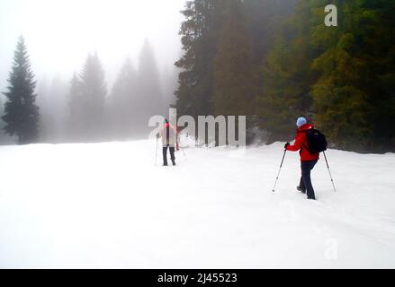 Venetien, Italien, Asiago Plateau. Bergsteiger, die im Winter auf den Berg Mosciagh Austro-Hungarian war Cemeteries gehen.   Venetien, Italia, Altopiano di Asiago o dei Sette Comuni. Escursionisti sul sentiero che porta ai cimiteri di guerra Austro-ungarici di Monte Mosciagh in inverno. Stockfoto