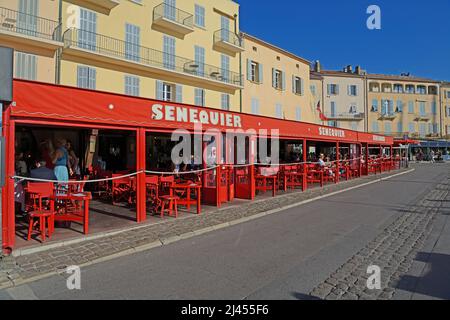 Café Senequier am Hafen, Côte d’Azur, Saint-Tropez, Département Var, Region Provence-Alpes-Côte d’Azur, Frankreich Stockfoto