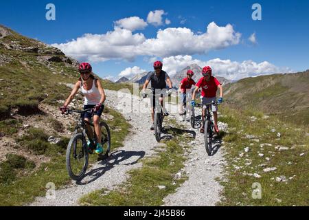 Montgenevre (Französische Alpen, Südostfrankreich): Radtour, Familien-Mountainbikefahren im oberen Teil des Skigebiets Stockfoto