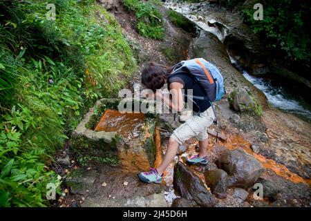 Chaudefour-Tal (Zentral-Südfrankreich): Eisenhaltige Quelle von Sainte-Anne Stockfoto