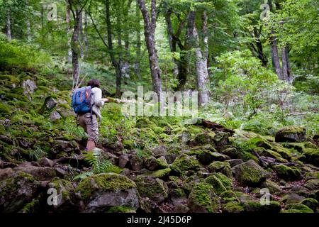 Frau, Wanderin im Chaudefour-Tal (Zentral-Südfrankreich) Stockfoto