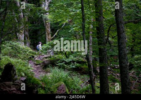 Frau, Wanderin im Chaudefour-Tal (Zentral-Südfrankreich) Stockfoto