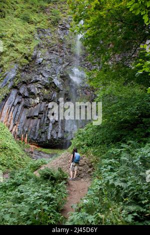 Chaudefour-Tal (Mittel-Südfrankreich): Wasserfall des Doe (ÒCascade la bicheÓ) Stockfoto