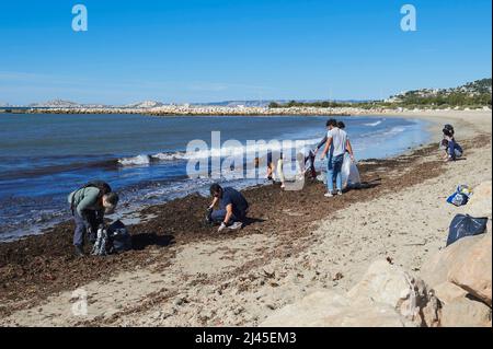 Marseille (Südostfrankreich): Freiwillige, die die Strände von Prado reinigen Stockfoto