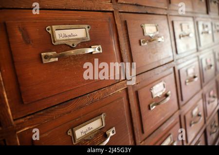 Johanniskraut und Heidelbeere in einer Apothekerkasten mit Schubladen Stockfoto