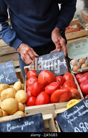 Villeneuve-sur-Lot (Südwestfrankreich): Rindertomaten auf einem Marktstand. Hände eines alten Mannes, der eine Kiste mit Tomaten trägt Stockfoto