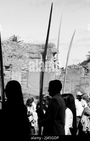 Elche, Alicante, Spanien - 10. April 2022: Menschen mit weißen Palmen zum Palmsonntag der Karwoche von Elche Stockfoto