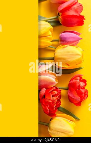 Ein Bouquet aus bunten Tulpen auf gelbem Hintergrund. Ein vorbereittiger Ort für Ihren Einladungstext, Herzlichen Glückwunsch. Stockfoto