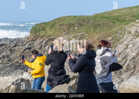 Eine Gruppe von Freunden, die ihre Handys benutzen, um die Sturmkraftwinde aufzuzeichnen, die durch den Sturm Eunice verursacht wurden, als er an der Küste von North Cornwall in der U eintrifft Stockfoto