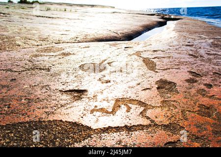 Alte Felszeichnungen am Ufer des Onega-Sees. Geschnitzt auf einer Granitplatte. Kap Besov Nos, Karelien, Russland - 15. August 2021. Stockfoto