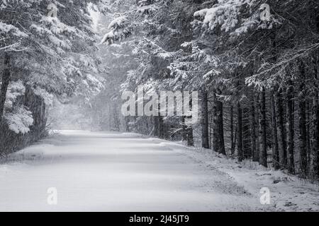 Dieses Bild wurde während eines Schneesturms in der späten Saison am Toft Point aufgenommen. Eine nationale historische Stätte in der Nähe von Baileys Harbour in Door County Wisconsin. Stockfoto