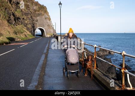 Frau mit Kinderwagen und irischem Setter Dog, die an der Küstenstraße von Larne vor den Toren des Dorfes Drains Bay in Co. Antrim, Nordirland, spazieren geht. Stockfoto