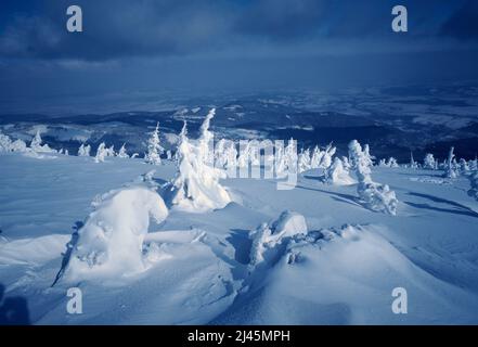 Polen. Malerische Winterlandschaft. Stockfoto