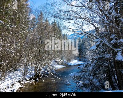 Strom, der in den Grundlsee fließt. In deutscher Sprache Stimitzbach genannt. Schöne Aussicht in winterlicher Landschaft. Grundlsee, Oberösterreich Stockfoto