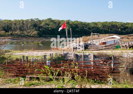 Austernzucht, La Guittiere Sümpfe, Talmont-Saint-Hilaire, Vendee (85), Pays de la Loire Region, Frankreich Stockfoto