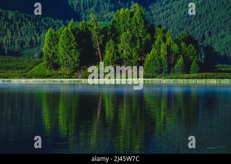 Der Wald spiegelt sich in den Gewässern eines Bergsees im Ulaganski-Bezirk der Altai-republik, Russland Stockfoto