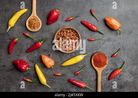 Auswahl an frischen und getrockneten Chilischoten auf rustikalem Hintergrund Stockfoto
