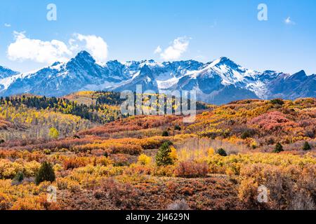 Goldene HerbstEspenbäume in den San Juan Mountains von Colorado Stockfoto