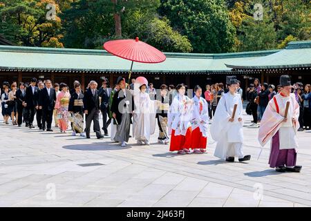 Japan. Tokio. Traditionelle Hochzeitszeremonie am Meiji Jingu Shinto-Schrein Stockfoto