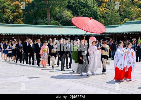 Japan. Tokio. Traditionelle Hochzeitszeremonie am Meiji Jingu Shinto-Schrein Stockfoto