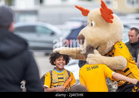 Maskottchen Marvin the Moose der englischen Fußballmannschaft Cambridge United Stockfoto