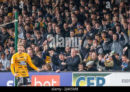 Fußballfans, die hinter dem Tor stehen und bei einem Spiel der unteren Liga in England, Großbritannien, nach dem Teamergebnis feiern Stockfoto