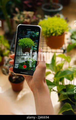 Nahaufnahme einer unverkennbaren Bloggerin, die im Blumengeschäft mit einer Smartphone-Kamera Fotos von Pflanzen gemacht hat. Stockfoto