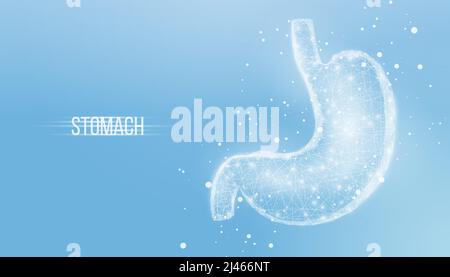 Menschlicher Magen. Drahtmodell mit geringer Poly-Optik. Konzept für die medizinische Behandlung des Verdauungssystems. Abstrakte moderne 3D Vektor-Illustration auf blauem Hintergrund Stock Vektor