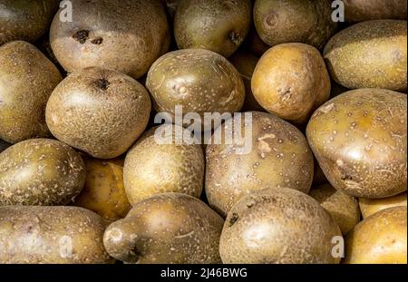 Epsom Surrey London, Großbritannien, April 12 2022, Haufen frischer roher ungekockter Kartoffeln Stockfoto