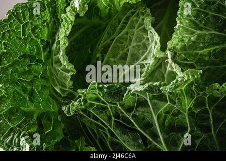 Bio-wirsing grüne Blätter. Makroaufnahme. Grüne Natur abstrakte Textur. Gesundes veganes Essen. Nahaufnahme Stockfoto