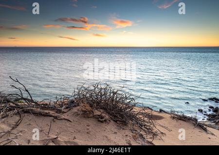 Abenddämmerung am Strand in Malibu, Kalifornien, mit Blick auf die Klippen von Point Dume. Sand und Vegetation im Vordergrund; blauer Pazifischer Ozean, Himmel Stockfoto