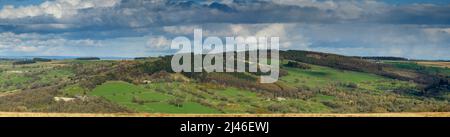 Weite malerische sonnige Panorama (Hügel Wald, grüne Felder, tv-Radio Mast Turm, bewölkten Himmel) - Washburn Valley, Yorkshire, England, Großbritannien. Stockfoto