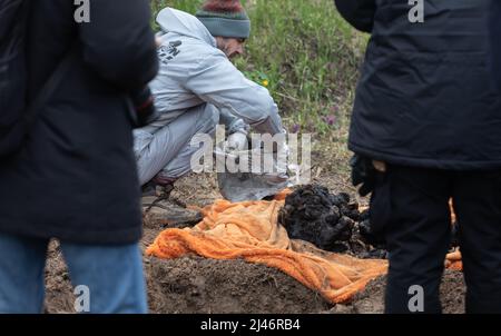 BUCHA, UKRAINE - 12. April 2022: Völkermord in Bucha. Forensische Polizisten exhumieren Leichen in Bucha, am Stadtrand von Kiew, Ukraine. Bucha City in der Ukraine wurde unter intensiven Kämpfen und Beschuss-Angriffen aus Russland verwüstet. Der Völkermord-Angriff der russischen Streitkräfte tötete Hunderte von Zivilisten in der Stadt. Die russischen Angriffe führen auch dazu, dass einige Einheimische obdachlos sind und auf der Straße leben. Stockfoto