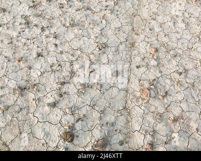 Trockene, rissige Erde. Dürre. Der ausgetrocknete Grund des Sees. Abstrakter gelber Hintergrund. Speicherplatz kopieren. Stockfoto