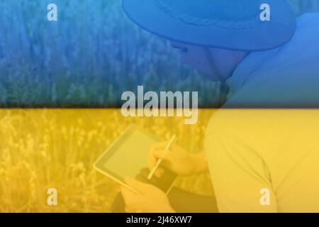 Ukraine Defocus Digitale Farm. Porträt eines Bauern, der im goldenen Weizenfeld sitzt und auf dem Tablet scrollt. Junger Mann mit Cowboyhut bei Feldbegutachten Stockfoto