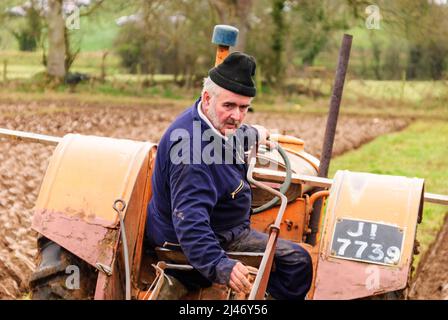 Gilford, Nordirland. 23.. Februar 2008. Ein älterer Landwirt fährt beim Mullahead Pflügen Match einen Oldtimer-Traktor. Stockfoto