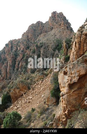 Felsen typisch für die Insel Korsika Frankreich in dem Ort namens CALANCHI di Piana, wo die berühmte Panoramastraße D81 passiert Stockfoto