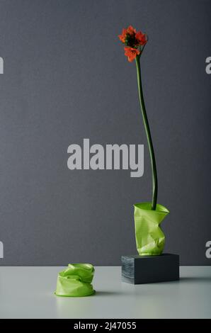 Vertikale konzeptionelle Stillleben Zusammensetzung der schönen starken Blume wächst in zerknittert grünen Kunststoff-Tasse, graue Wand Hintergrund Stockfoto