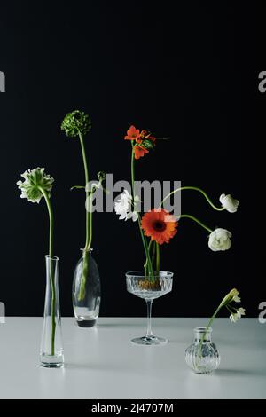 Vertikale kreative Stillleben Komposition aus schönen Blumen in verschiedenen transparenten Glasgefäßen auf grauem Tisch vor schwarzem Wandhintergrund Stockfoto